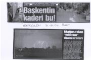 rsm02A (137 Kb)