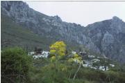 BOGAZ (67 Kb)